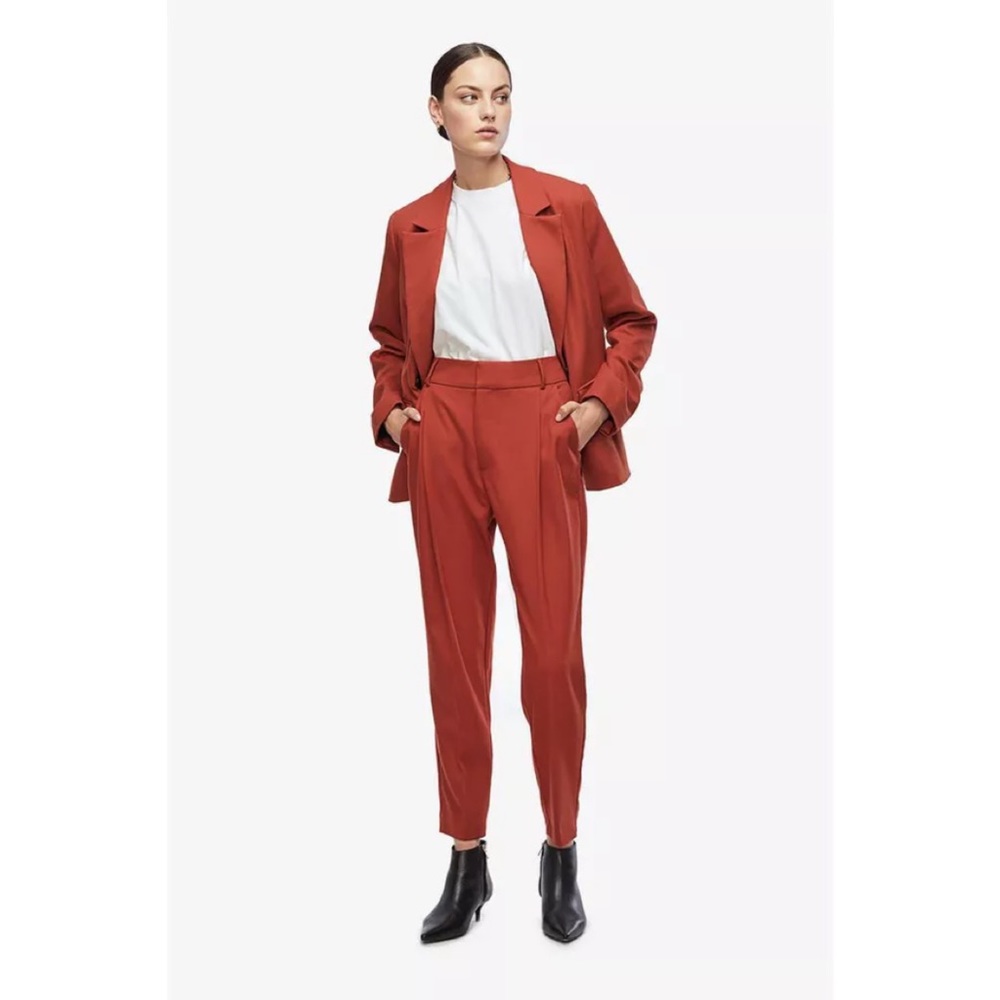 Anine Bing Becky trousers in rust